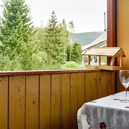Apartament Chałubińskiego Zakopane Zewnętrze zdjęcie